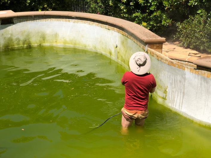 Preventing algae growth through regular pool maintenance