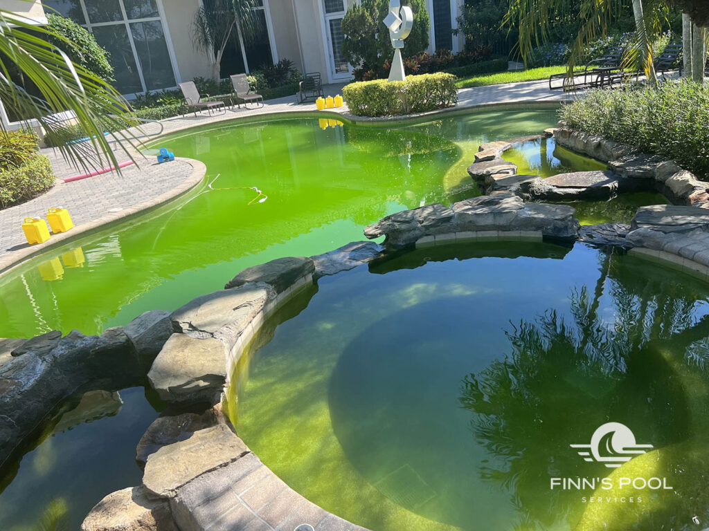 green pool algae buildup causing cloudy water