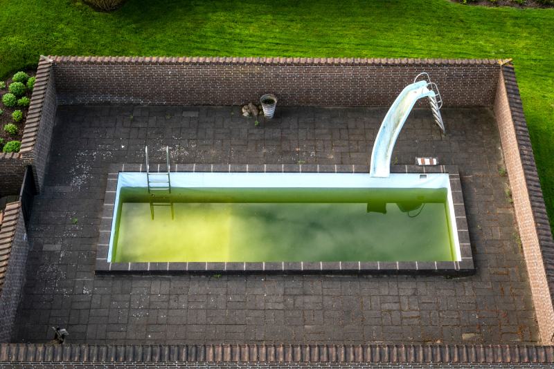 Factors contributing to algae growth in pools