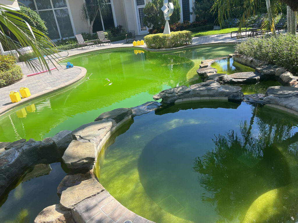 Green pool water caused by high phosphate levels and algae growth