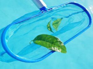 Does swimming pool water kill grass