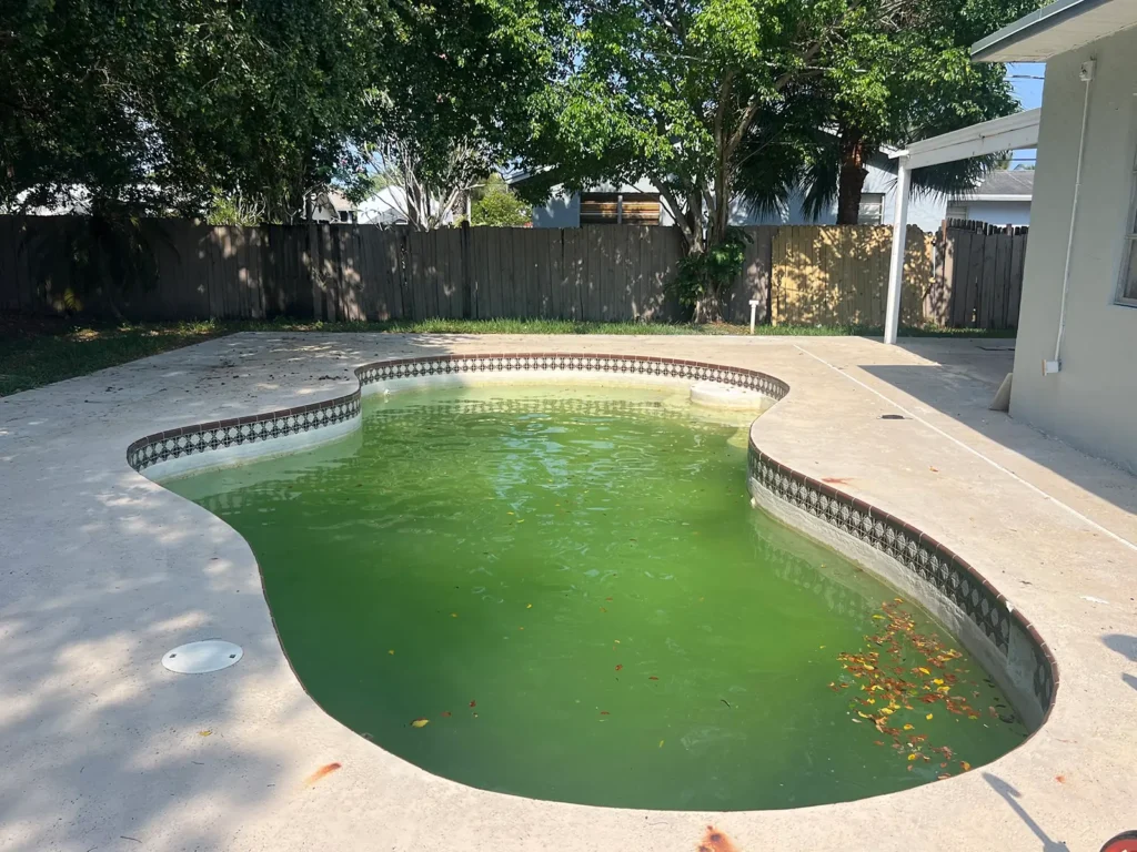 Green, neglected swimming pool before resurfacing in West Palm Beach, FL.