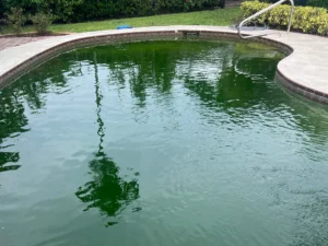 Pool turned green after vacation due to algae growth and low chlorine